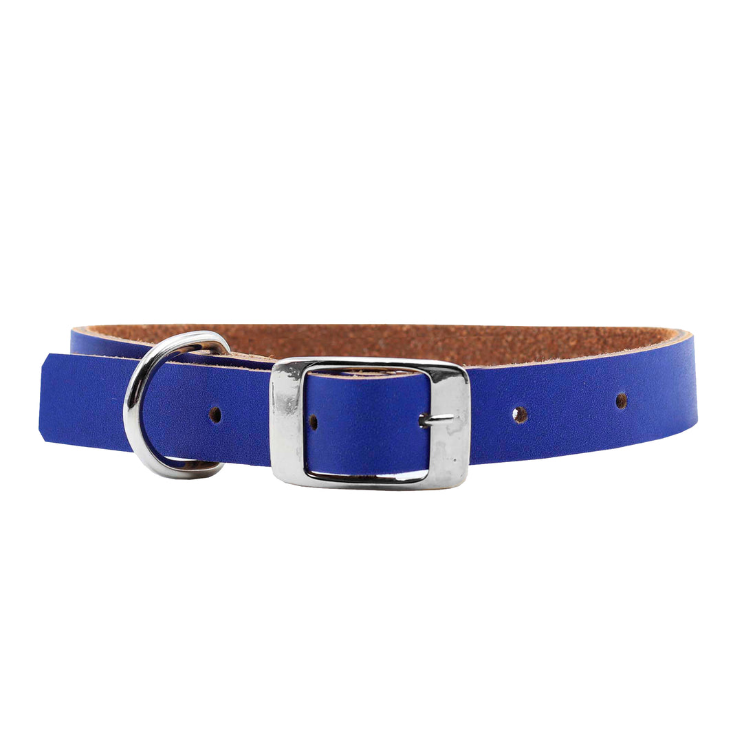 Collar Color Productos – JuliaAndBruno