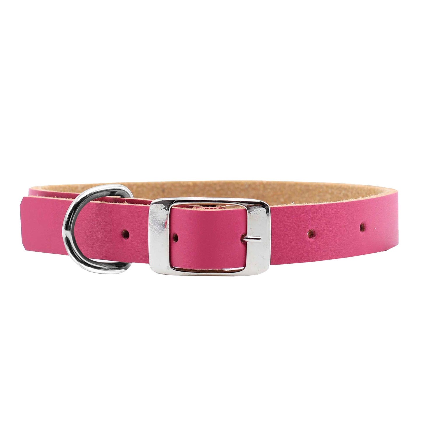 Collar - Colors - Fucsia