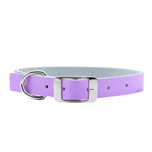 Collar - Colors - Lila