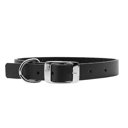 Collar - Colors - Negro