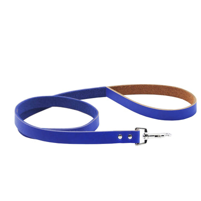 Correa - XColors - Azul Cerúleo