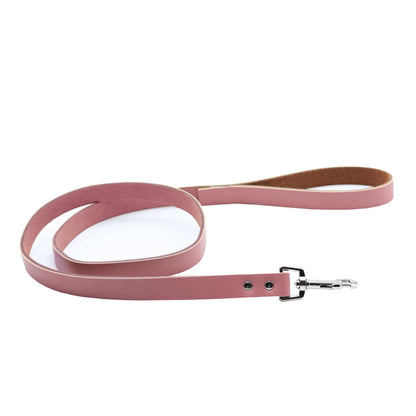 Correa - XColors - Palo de Rosa