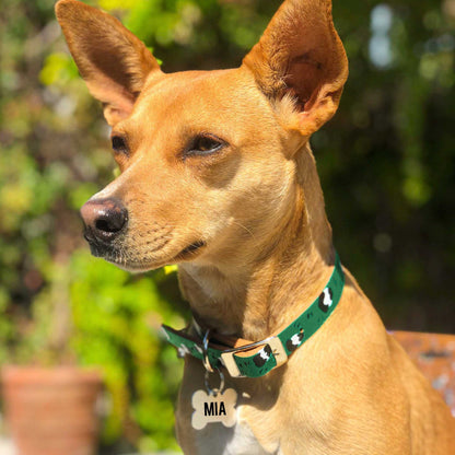Collar - Pintado a Mano - Savage Green