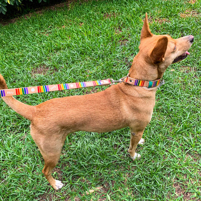 Collar - Pintado a Mano - Pride